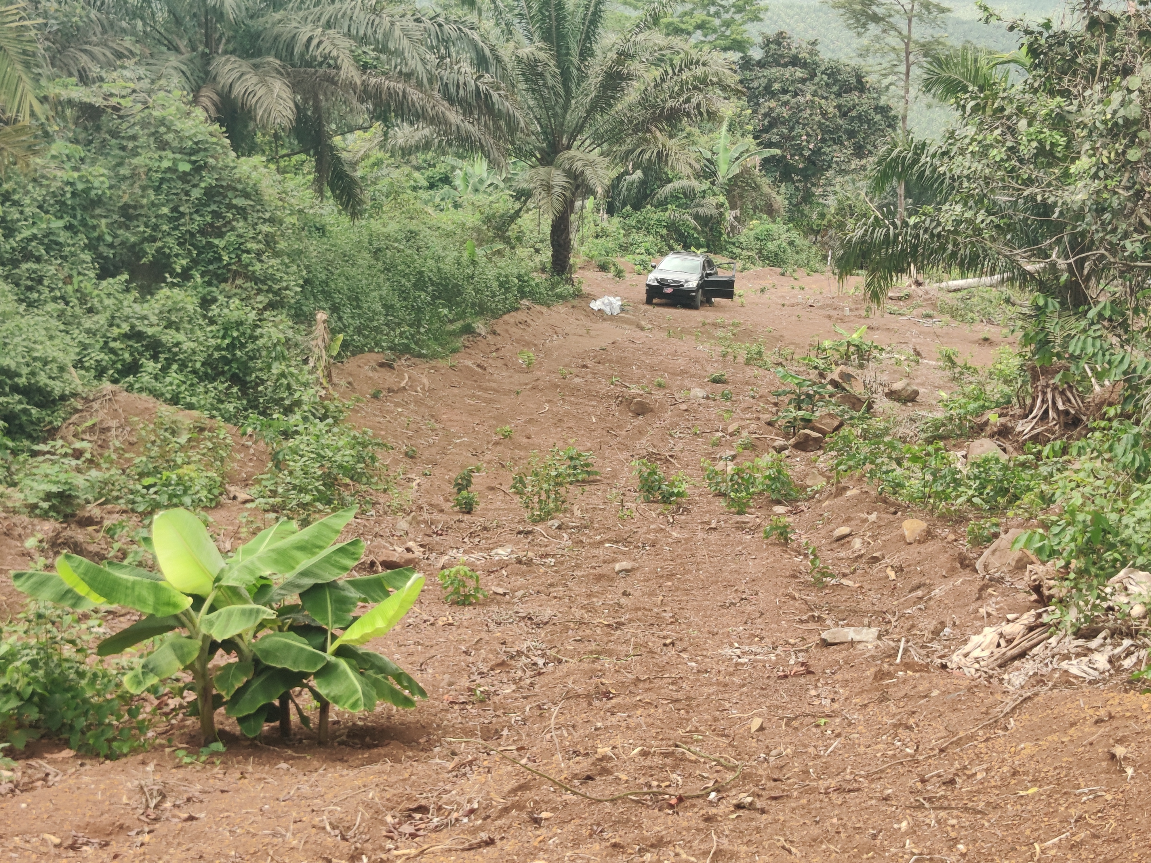 Cheap Residential Land At Moliwe, Mile 4 Limbe